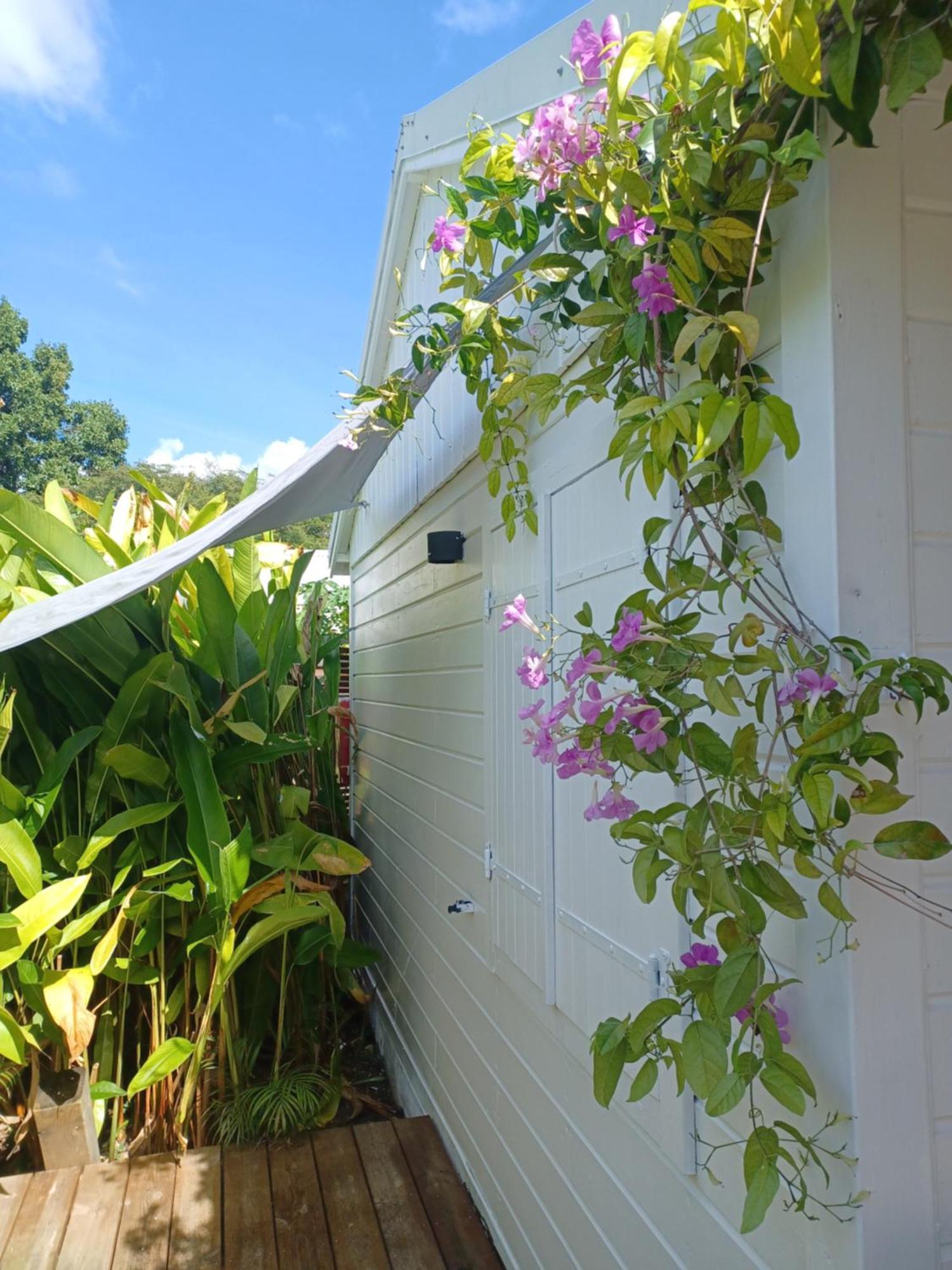 Charmant Bungalow Coco Sainte-Anne  Exterior foto