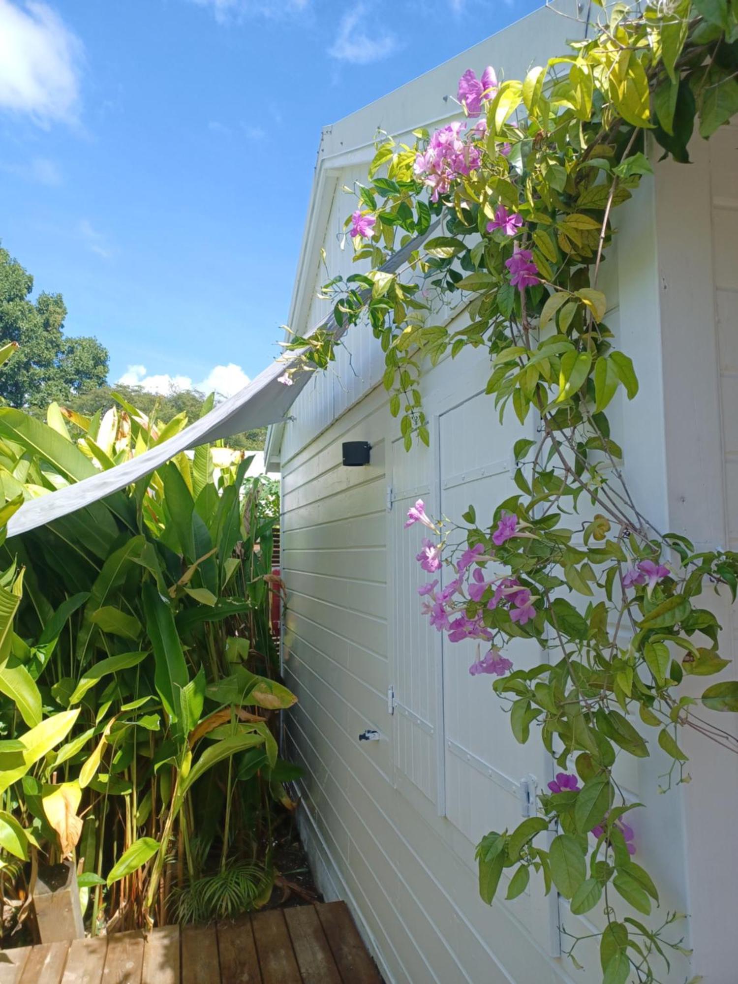 Charmant Bungalow Coco Sainte-Anne  Exterior foto